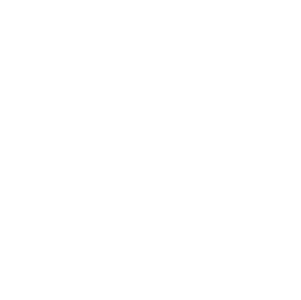 SynLab