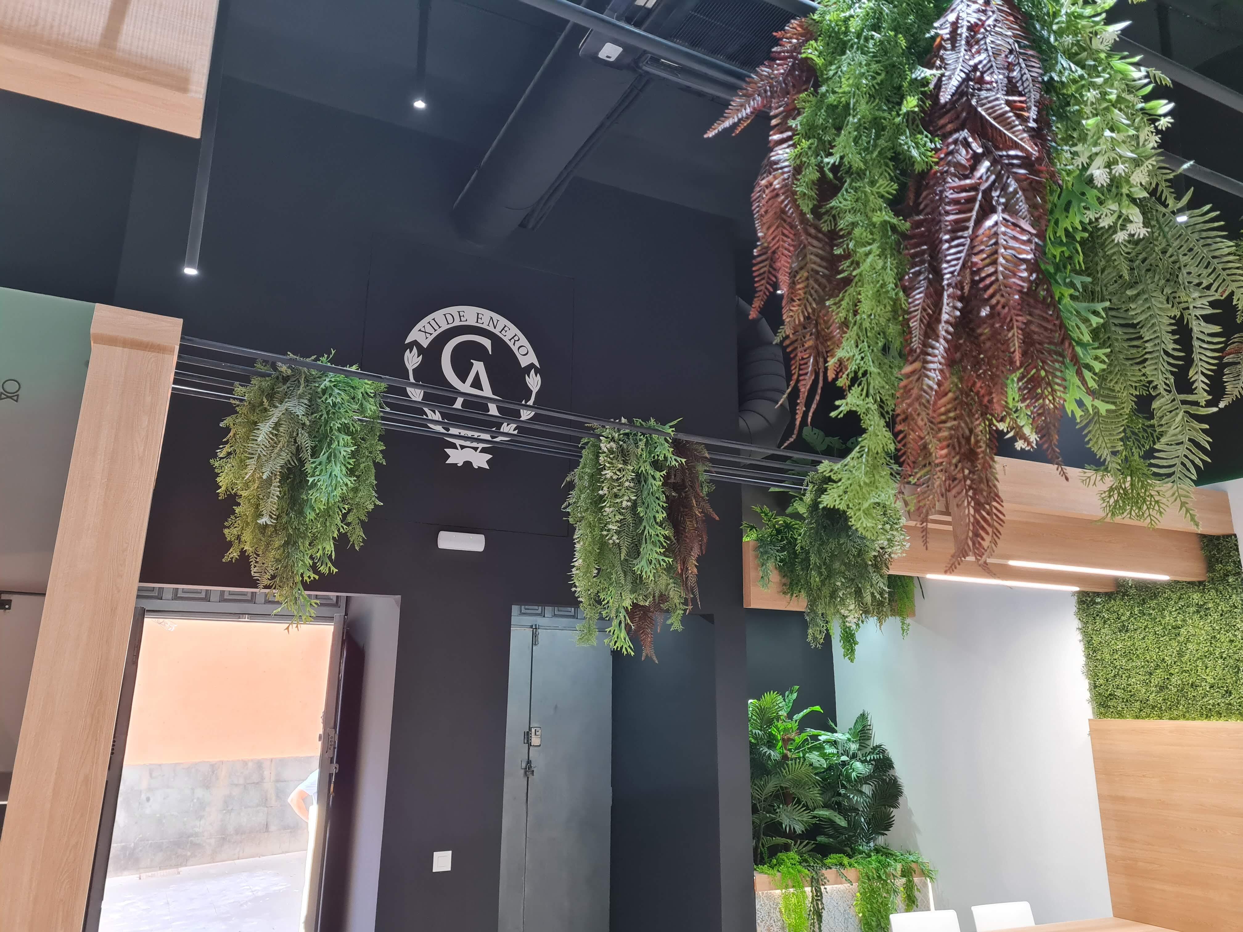 Imagen de la galería del proyecto