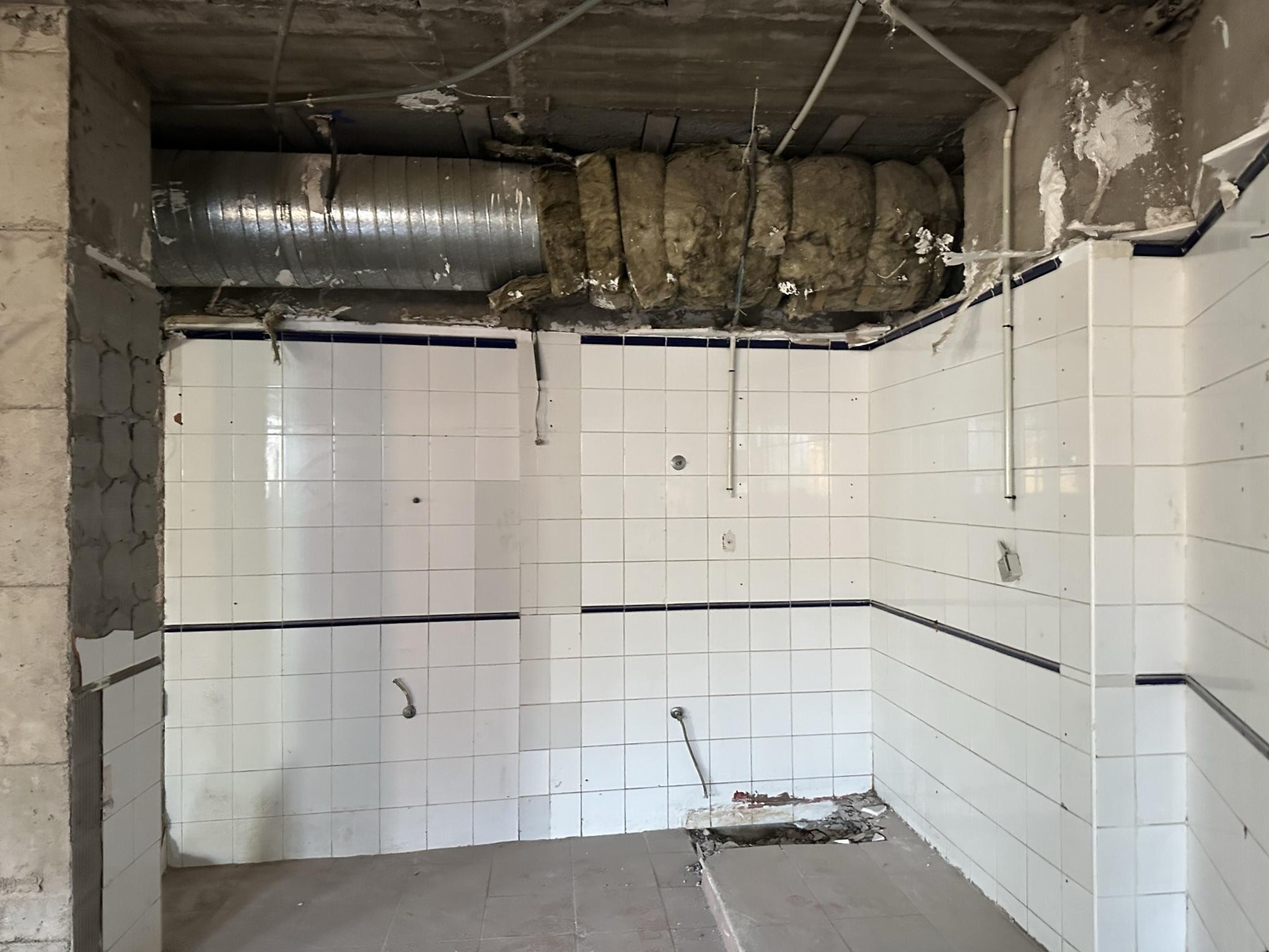 Imagen de la galería del proyecto