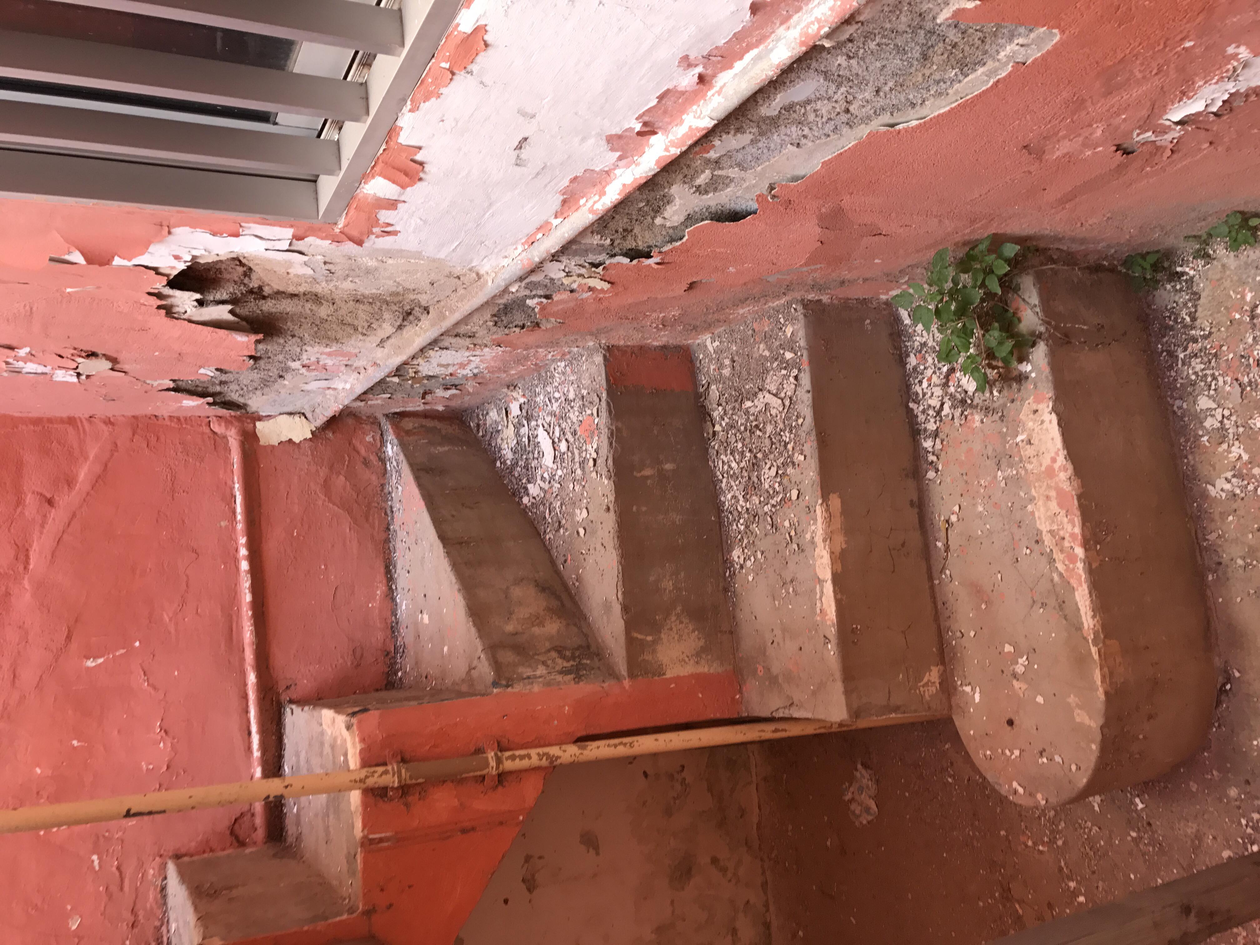 Imagen de la galería del proyecto